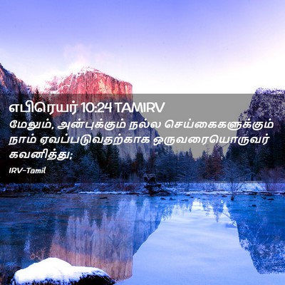 Picture 02 - எபிரெயர் 10:24 TAMIRV - மேலும், - Bible Verse Picture