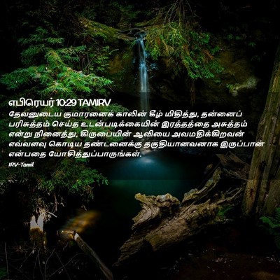 Picture 02 - எபிரெயர் 10:29 TAMIRV - தேவனுடைய - Bible Verse Picture