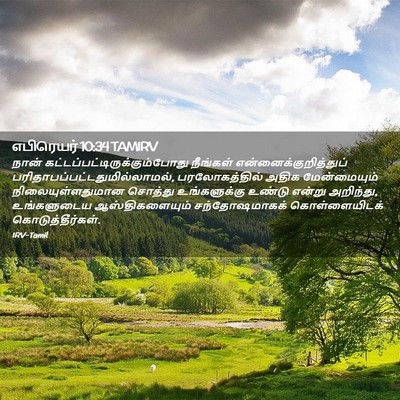 Picture 02 - எபிரெயர் 10:34 TAMIRV - நான் - Bible Verse Picture