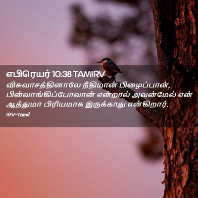 Picture 02 - எபிரெயர் 10:38 TAMIRV - விசுவாசத்தினாலே - Bible Verse Picture