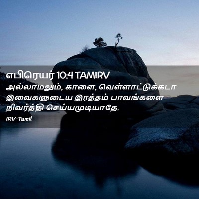 Picture 02 - எபிரெயர் 10:4 TAMIRV - அல்லாமலும், காளை, - Bible Verse Picture