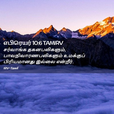 Picture 02 - எபிரெயர் 10:6 TAMIRV - சர்வாங்க - Bible Verse Picture