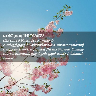 Picture 02 - எபிரெயர் 11:11 TAMIRV - விசுவாசத்தினாலே - Bible Verse Picture
