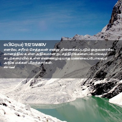 Picture 02 - எபிரெயர் 11:12 TAMIRV - எனவே, சரீரம் - Bible Verse Picture