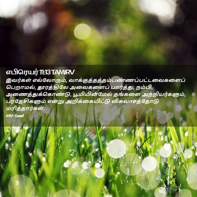 Picture 02 - எபிரெயர் 11:13 TAMIRV - இவர்கள் - Bible Verse Picture