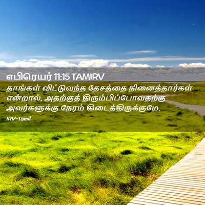 Picture 02 - எபிரெயர் 11:15 TAMIRV - தாங்கள் - Bible Verse Picture