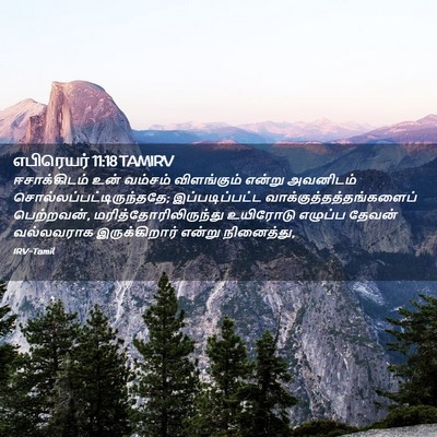 Picture 02 - எபிரெயர் 11:18 TAMIRV - ஈசாக்கிடம் உன் - Bible Verse Picture