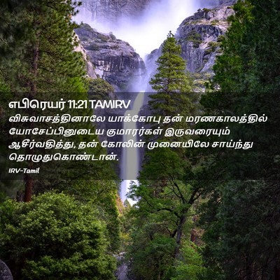 Picture 02 - எபிரெயர் 11:21 TAMIRV - விசுவாசத்தினாலே - Bible Verse Picture