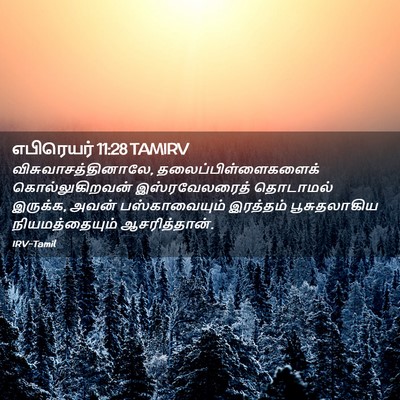 Picture 02 - எபிரெயர் 11:28 TAMIRV - விசுவாசத்தினாலே, - Bible Verse Picture