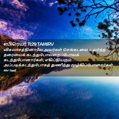 Picture 02 - எபிரெயர் 11:29 TAMIRV - விசுவாசத்தினாலே - Bible Verse Picture