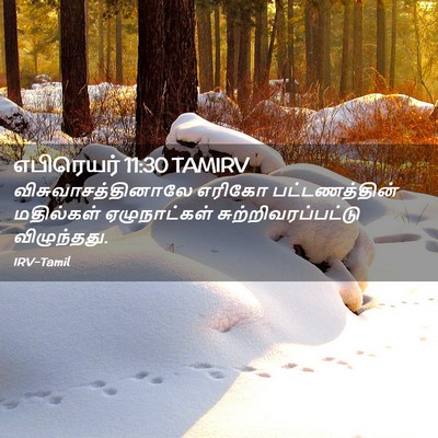 Picture 02 - எபிரெயர் 11:30 TAMIRV - விசுவாசத்தினாலே - Bible Verse Picture