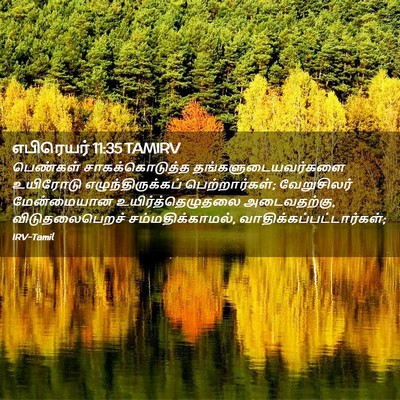Picture 02 - எபிரெயர் 11:35 TAMIRV - பெண்கள் - Bible Verse Picture
