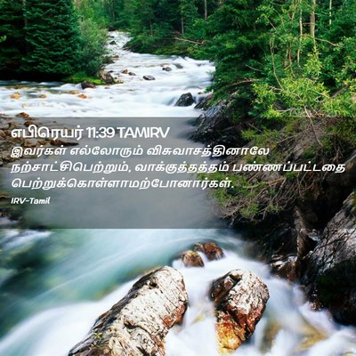 Picture 02 - எபிரெயர் 11:39 TAMIRV - இவர்கள் எல்லோரும் - Bible Verse Picture