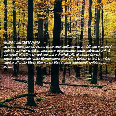 Picture 02 - எபிரெயர் 12:1 TAMIRV - ஆகவே, - Bible Verse Picture