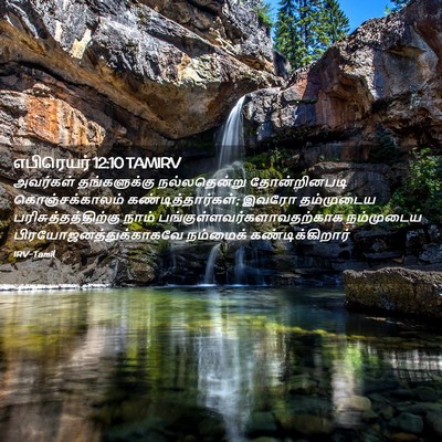 Picture 02 - எபிரெயர் 12:10 TAMIRV - அவர்கள் - Bible Verse Picture