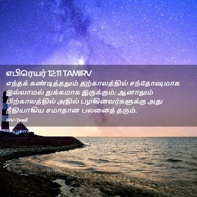 Picture 02 - எபிரெயர் 12:11 TAMIRV - எந்தக் - Bible Verse Picture
