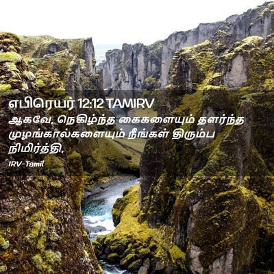 Picture 02 - எபிரெயர் 12:12 TAMIRV - ஆகவே, நெகிழ்ந்த - Bible Verse Picture