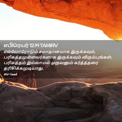 Picture 02 - எபிரெயர் 12:14 TAMIRV - எல்லோரோடும் - Bible Verse Picture