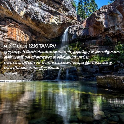 Picture 02 - எபிரெயர் 12:16 TAMIRV - ஒருவனும் - Bible Verse Picture