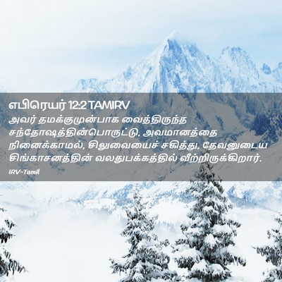 Picture 02 - எபிரெயர் 12:2 TAMIRV - அவர் - Bible Verse Picture