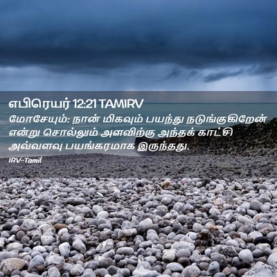 Picture 02 - எபிரெயர் 12:21 TAMIRV - மோசேயும்: நான் - Bible Verse Picture