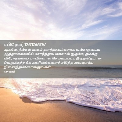 Picture 02 - எபிரெயர் 12:3 TAMIRV - ஆகவே, நீங்கள் மனம் - Bible Verse Picture