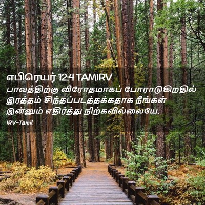 Picture 02 - எபிரெயர் 12:4 TAMIRV - பாவத்திற்கு - Bible Verse Picture