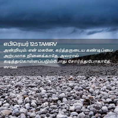 Picture 02 - எபிரெயர் 12:5 TAMIRV - அன்றியும்: என் - Bible Verse Picture