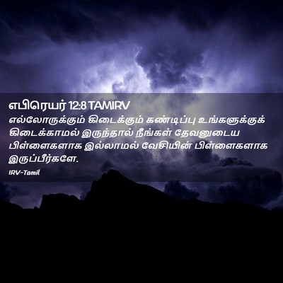 Picture 02 - எபிரெயர் 12:8 TAMIRV - எல்லோருக்கும் - Bible Verse Picture