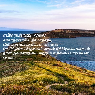 Picture 02 - எபிரெயர் 13:23 TAMIRV - சகோதரனாகிய - Bible Verse Picture