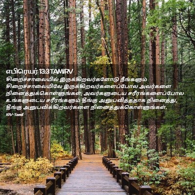 Picture 02 - எபிரெயர் 13:3 TAMIRV - சிறைச்சாலையில் - Bible Verse Picture