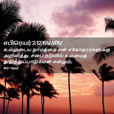 Picture 02 - எபிரெயர் 2:12 TAMIRV - உம்முடைய நாமத்தை - Bible Verse Picture