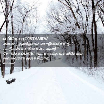 Picture 02 - எபிரெயர் 2:18 TAMIRV - எனவே, அவர்தாமே - Bible Verse Picture