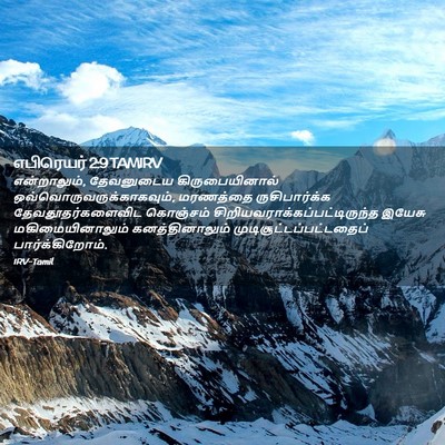 Picture 02 - எபிரெயர் 2:9 TAMIRV - என்றாலும், - Bible Verse Picture