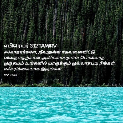 Picture 02 - எபிரெயர் 3:12 TAMIRV - சகோதரர்களே, - Bible Verse Picture