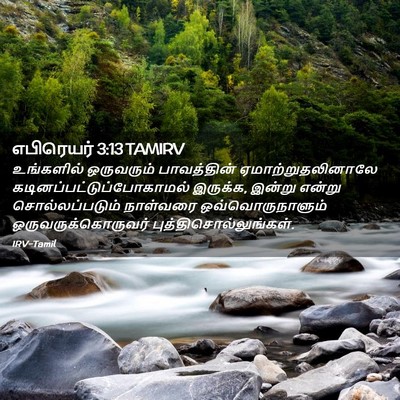 Picture 02 - எபிரெயர் 3:13 TAMIRV - உங்களில் ஒருவரும் - Bible Verse Picture