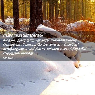 Picture 02 - எபிரெயர் 3:17 TAMIRV - மேலும், அவர் - Bible Verse Picture