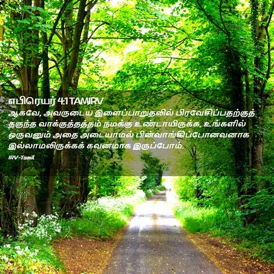 Picture 02 - எபிரெயர் 4:1 TAMIRV - ஆகவே, அவருடைய - Bible Verse Picture