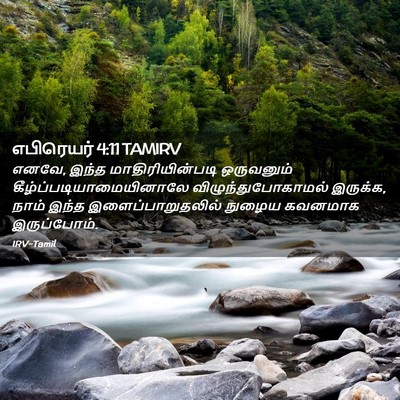 Picture 02 - எபிரெயர் 4:11 TAMIRV - எனவே, இந்த - Bible Verse Picture