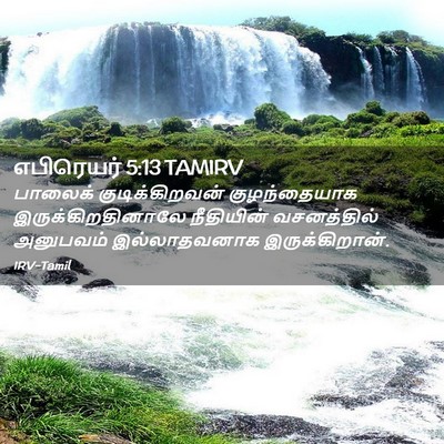 Picture 02 - எபிரெயர் 5:13 TAMIRV - பாலைக் - Bible Verse Picture