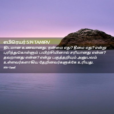 Picture 02 - எபிரெயர் 5:14 TAMIRV - திடமான உணவானது, - Bible Verse Picture
