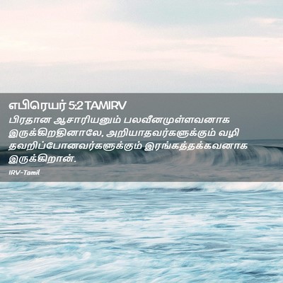 Picture 02 - எபிரெயர் 5:2 TAMIRV - பிரதான ஆசாரியனும் - Bible Verse Picture