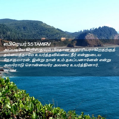 Picture 02 - எபிரெயர் 5:5 TAMIRV - அப்படியே - Bible Verse Picture