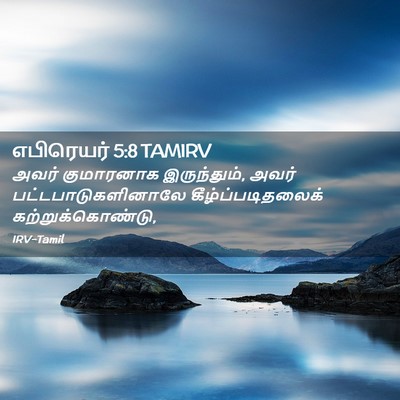 Picture 02 - எபிரெயர் 5:8 TAMIRV - அவர் குமாரனாக - Bible Verse Picture