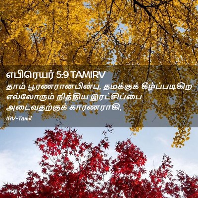 Picture 02 - எபிரெயர் 5:9 TAMIRV - தாம் - Bible Verse Picture