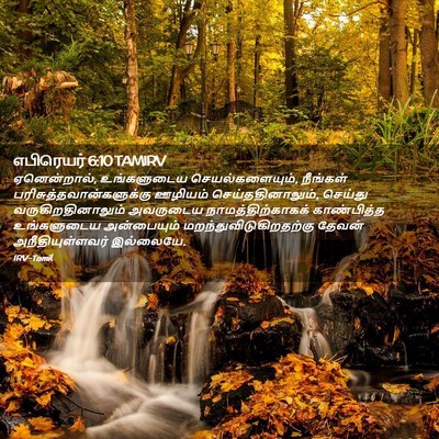 Picture 02 - எபிரெயர் 6:10 TAMIRV - ஏனென்றால், - Bible Verse Picture