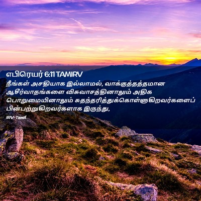 Picture 02 - எபிரெயர் 6:11 TAMIRV - நீங்கள் அசதியாக - Bible Verse Picture