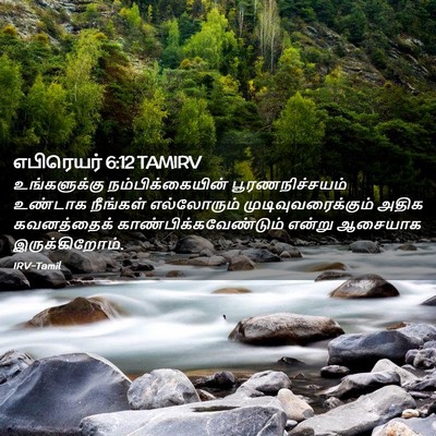 Picture 02 - எபிரெயர் 6:12 TAMIRV - உங்களுக்கு - Bible Verse Picture