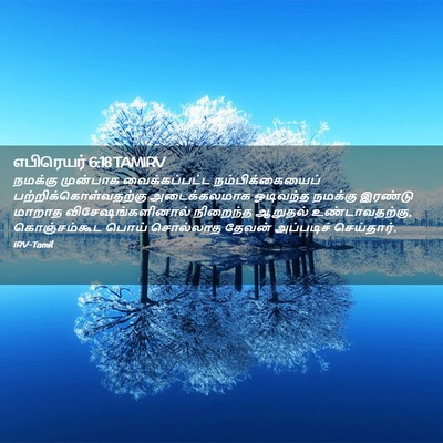 Picture 02 - எபிரெயர் 6:18 TAMIRV - நமக்கு முன்பாக - Bible Verse Picture
