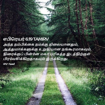 Picture 02 - எபிரெயர் 6:19 TAMIRV - அந்த நம்பிக்கை - Bible Verse Picture